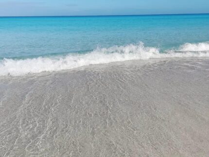 {{brizy_dc_image_alt entityId=